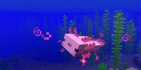 Minecraft Axolotls Facts You Need To Know