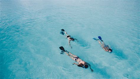 Snorkeling And Diving Discover Eleuthera Bahamas