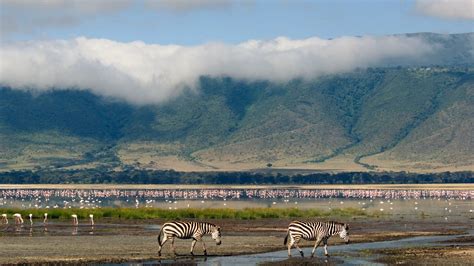 10 Interesting Facts About The Ngorongoro Crater