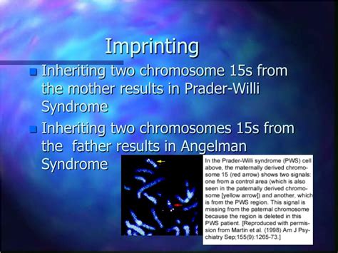 PPT Uniparental Disomy Imprinting And Prader Willi Syndrome