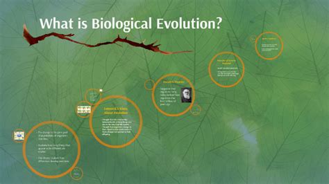 What Is Biological Evolution By Amanda Engel