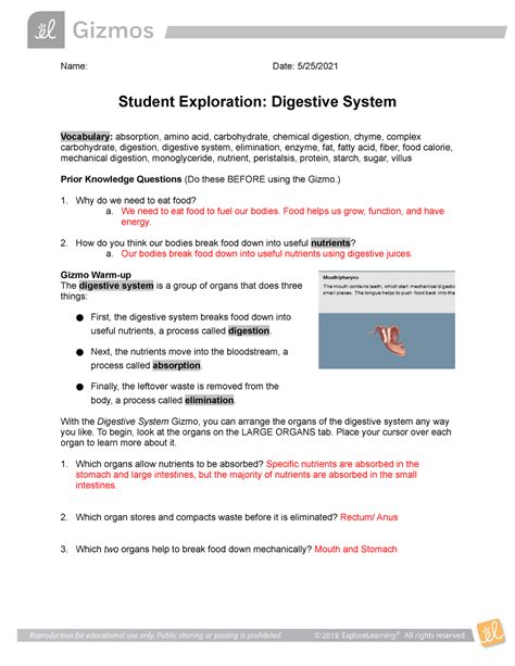 Digestive System Gizmo Name Date 525 Student Exploration