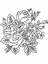 Coloring Flower Peony Flowers Printable Sketch Template sketch template