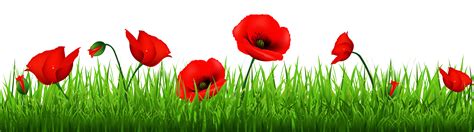 Free Poppy Flower Cliparts Download Free Poppy Flower Cliparts Png