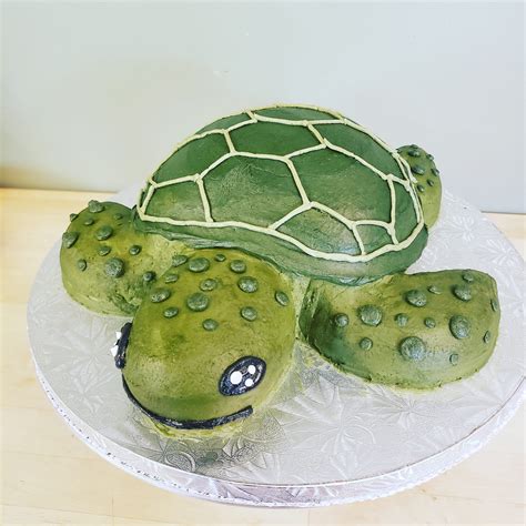 Made This Awesome Sculpted Sea Turtle Cake Yesterday Confetti Cake And