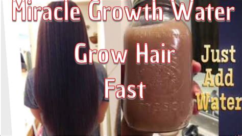 Did you scroll all this way to get facts about miracle growth water? USE MIRACLE GROWTH WATER™️ TO GROW 1 INCH OF HAIR EVERY ...