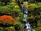 Portland Japanese Garden: A place of serenity and beauty | BOOMSbeat