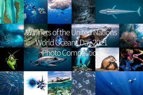 Announcing The Winners Of The Eighth United Nations World Oceans Day