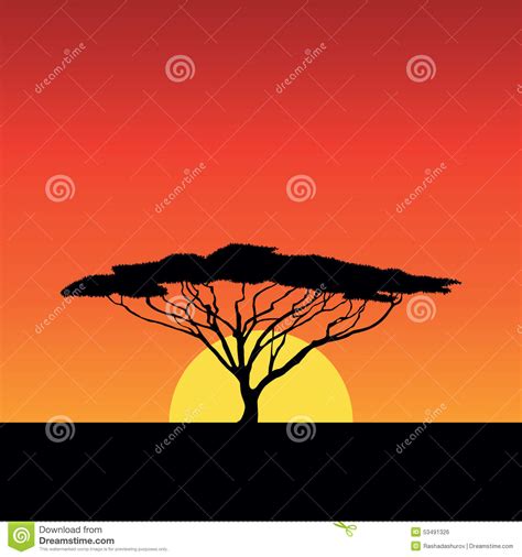 Africa Sunset Stock Vector Image 53491326