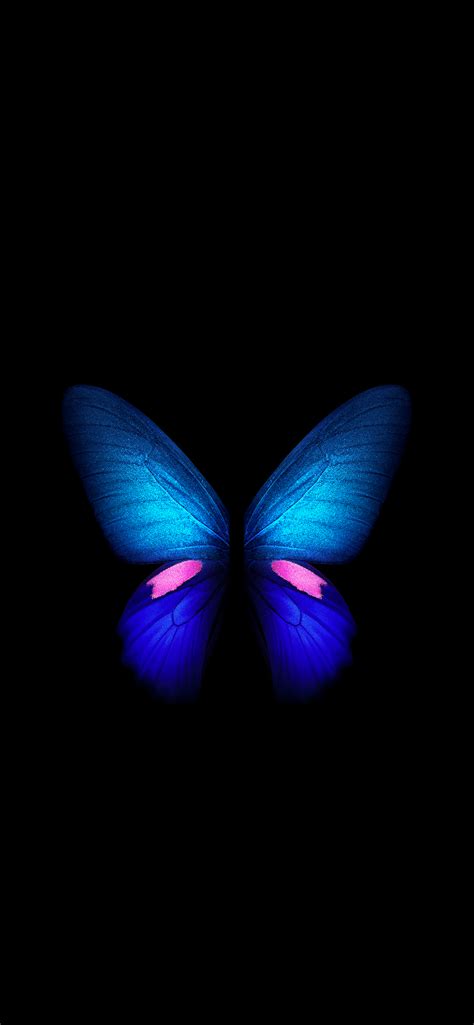 Live Butterfly Wallpapers Wallpaper Cave