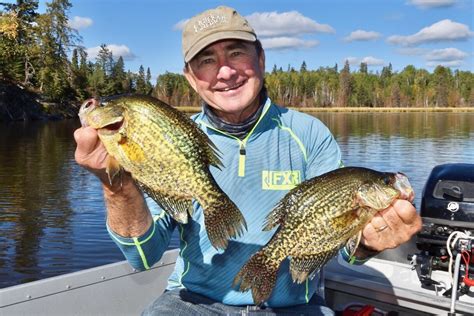 How To Lure In Walleye Outdoor Canada