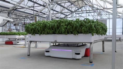 California Startup Uses Robots In Greenhouses To Grow Crops