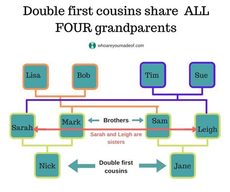 What Is A Double First Cousin Who Are You Made Of