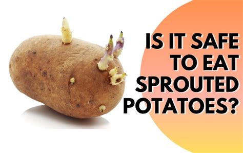 The Reason Why You Shouldnt Eat Sprouted Potatoes