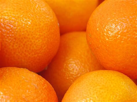 What Came First Orange The Colour Or Orange The Fruit Nova 969