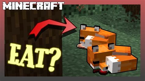 Foxes eat a diverse diet as omnivores, focusing on small animals such as birds, rabbits, rodents, frogs, mice, insects, and fish. WHAT DO FOXES EAT IN MINECRAFT? - YouTube