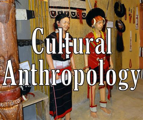 Ms201 Cultural Anthropology Texas Theological University And Seminary