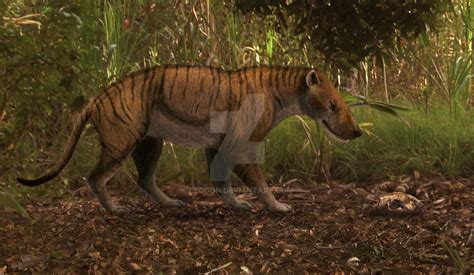 Hyaenodon Horridus By Leogon On Deviantart
