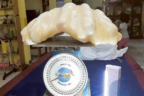 ‘worlds Largest Pearl Emerges In Philippines