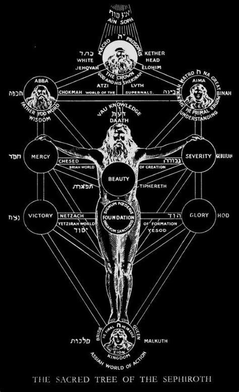 Leonardo da vinci used this and it's mathematical derivative, the golden ratio the tree of life is an ancient symbol dating back into the depths of our combined history. The Sacred Tree of the Sephiroth. | Sacred tree, Tree of ...