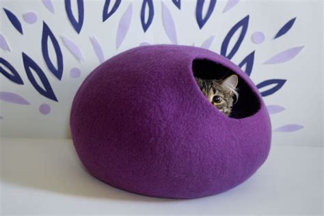 A Small Kitten Peeking Out From Inside A Purple Ball Shaped Bed On A