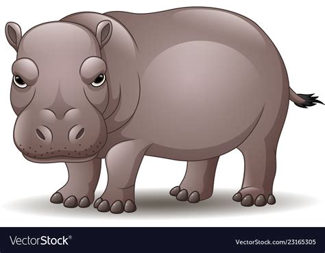 Cartoon Funny Hippo Isolated On White Background Vector Image