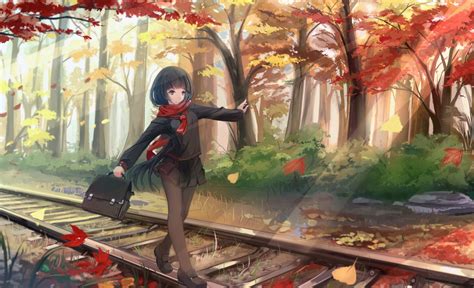 Falling Anime Wallpapers Top Những Hình Ảnh Đẹp