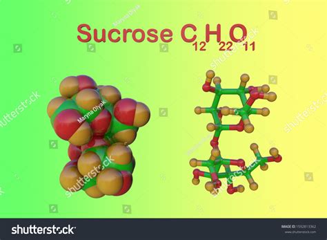 Structural Chemical Formula Molecular Model Sucrose Stock Illustration
