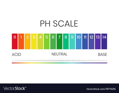 Ph Value Scale Chart For Acid Alkaline Solution Vector Image