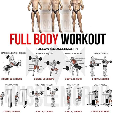 Full Body Workout Weight Easy Loss Fitness Lifestyle Fitness And