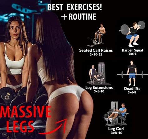 Best Basic Leg Exercises Routine