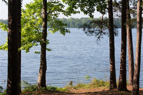 Lake Jordan Fish Alabama Alabama Bass Trail