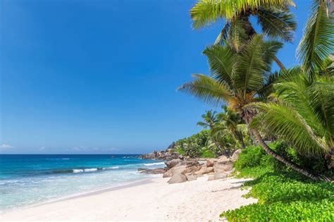 Beautiful Barbados Beaches Best Beaches In Barbados