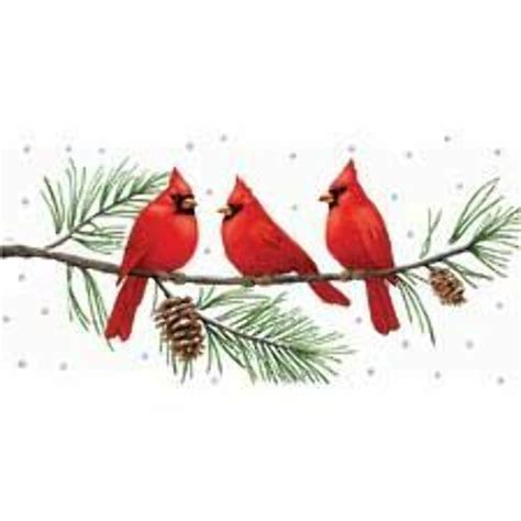 Download High Quality Cardinal Clipart Snow Transparent Png Images