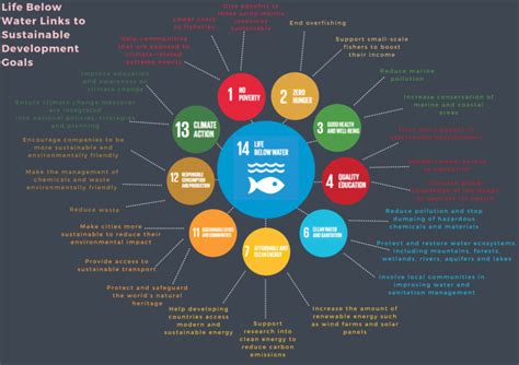 What Is The Un Ocean Decade Ocean Conservation Trust