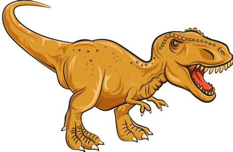 Tyrannosaurus rex was a large carnivore; Best Tyrannosaurus Rex Illustrations, Royalty-Free Vector ...