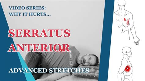 Unique Serratus Anterior Stretching Exercises Fix Your Shoulder Blade
