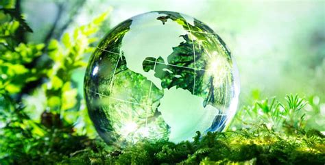 Green Cleaning for a Healthier Workplace and Cleaner Environment