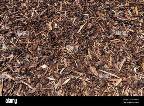 Wood Chip Bark Chippings Having Been Shredded For Use As A Garden Mulch