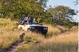 Photos of Kruger National Park Luxury Safari
