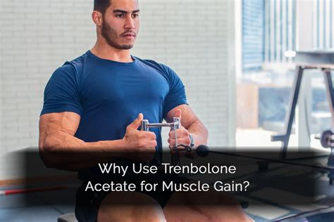 Trenbolone Acetate For Muscle Gain How To Use Tren Ace For Maximum