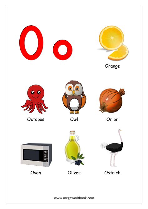 Objects Starting With Alphabet O Alphabet Preschool Alphabet