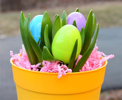 The Shower Planner Easter Egg Plants