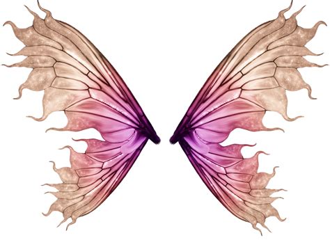 Fairy Wing Png Png Image Collection