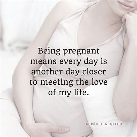 17 Best Pregnancy Quotes Images On Pinterest Pregnancy Words And