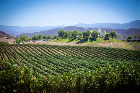 The 8 Best Temecula Wine Tours Of 2020