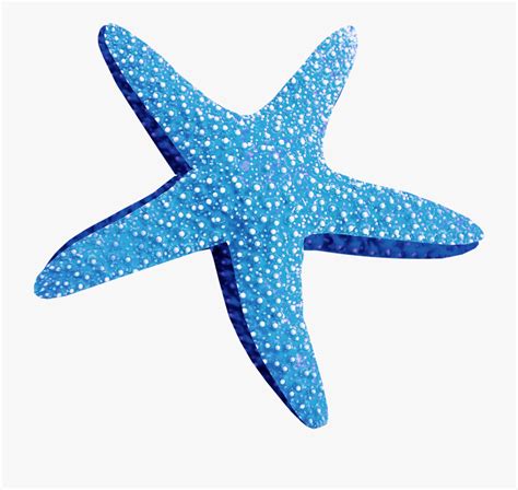 Blue Starfish Clipart 20 Free Cliparts Download Images On Clipground 2024