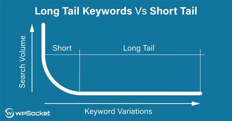 Long Tail Keywords Vs Short Tail Differences And Which One Is The Best