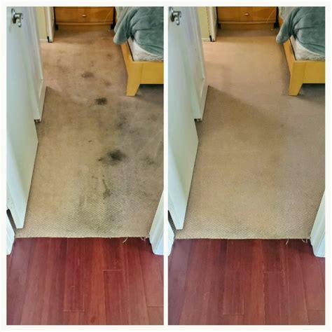 Carpet Cleaning Signal Hill Ca Chem Dry Of Long Beach