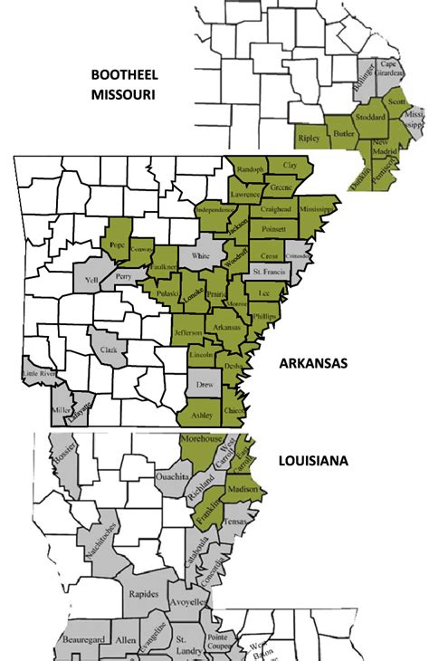 Rice Producing Counties In Arkansas Usa And Adjacent Locales Included